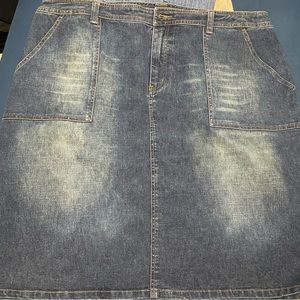 Venezia Lane Bryant denim skirt